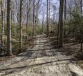 Trail clearing and development in Upstate South Carolina